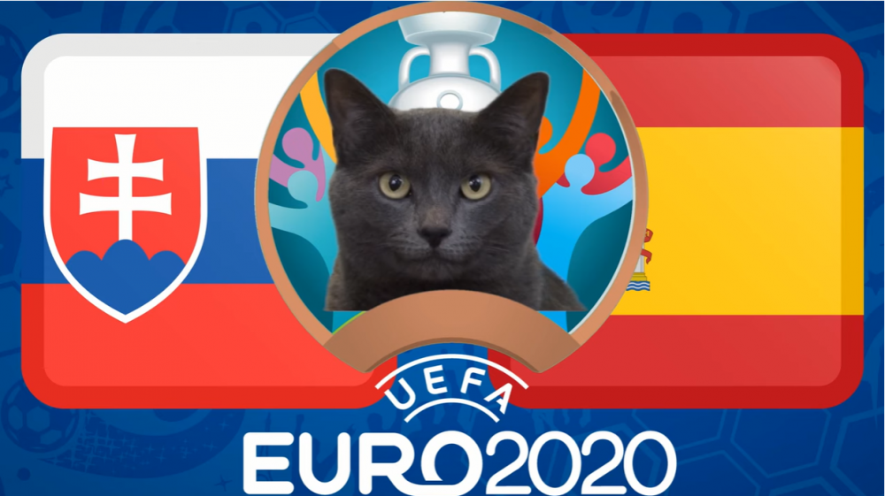 meo tien tri du doan slovakia vs tay ban nha euro 2021 meo cass chon doi khach