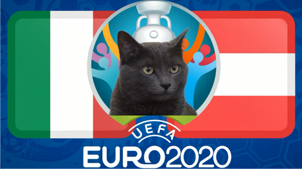 Mèo tiên tri dự đoán Italia vs Áo (2h00, 27/6) - vòng 1/8 EURO 2021