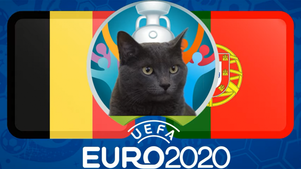 meo tien tri du doan bi vs bo dao nha 2h00 286 vong 18 euro 2021