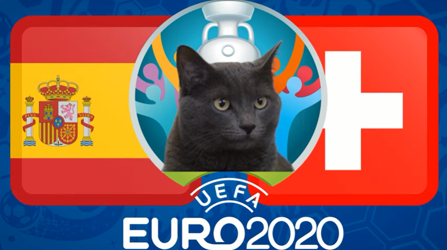 Mèo tiên tri dự đoán Thuỵ Sĩ vs Tây Ban Nha (23h00, 2/7) - vòng tứ kết EURO 2021