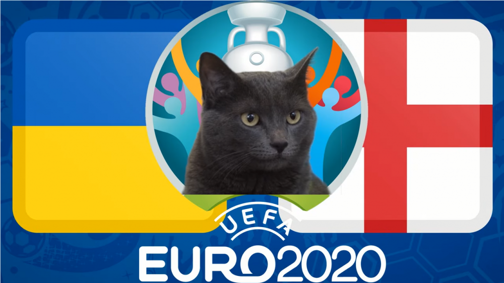 Mèo tiên tri dự đoán Anh vs Ukraine, 02h00 ngày 4/7 - vòng tứ kết EURO 2021