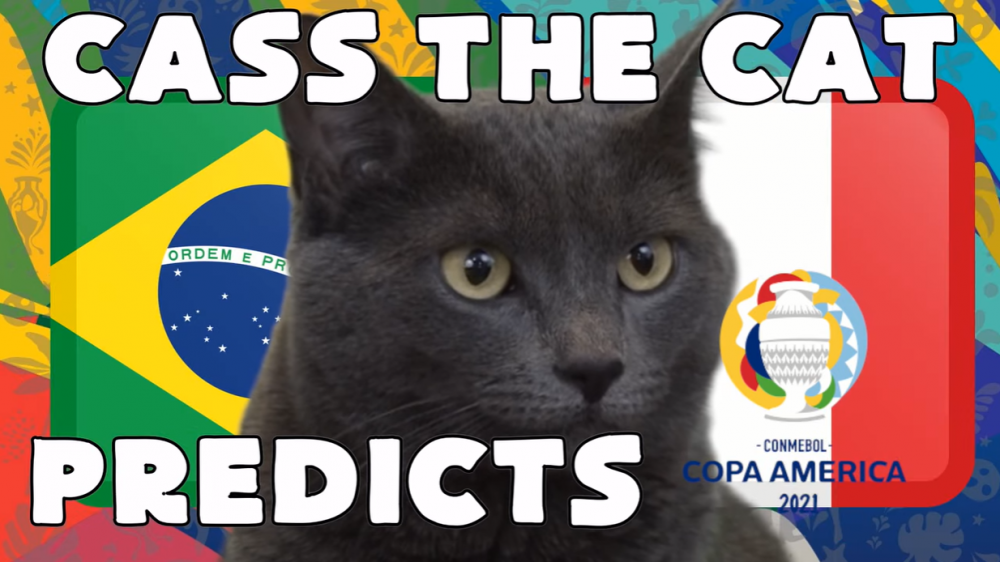 Mèo tiên tri dự đoán Brazil vs Peru, 06h00 ngày 06/07 - vòng bán kết Copa America 2021