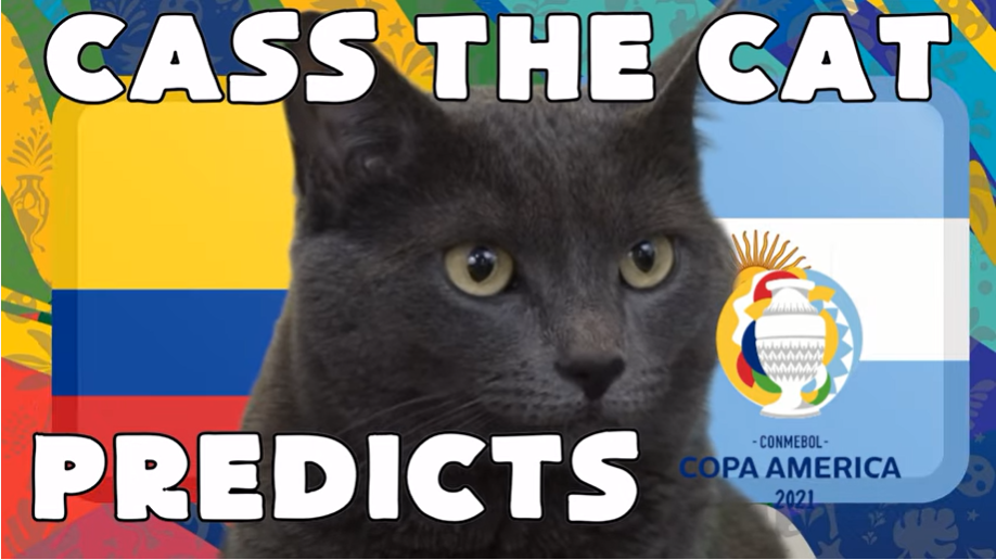 Mèo tiên tri dự đoán Argentina vs Colombia, 08h00 ngày 07/07 - vòng bán kết Copa America 2021