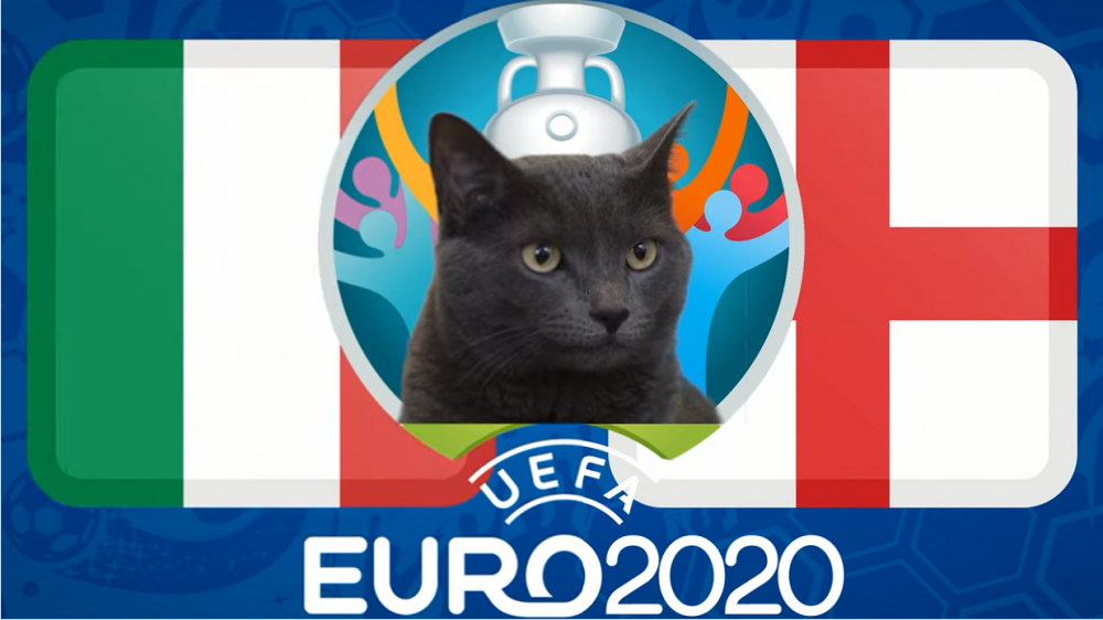 Mèo tiên tri dự đoán Italia vs Anh, 02h00 ngày 12/7 - Chung kết EURO 2021