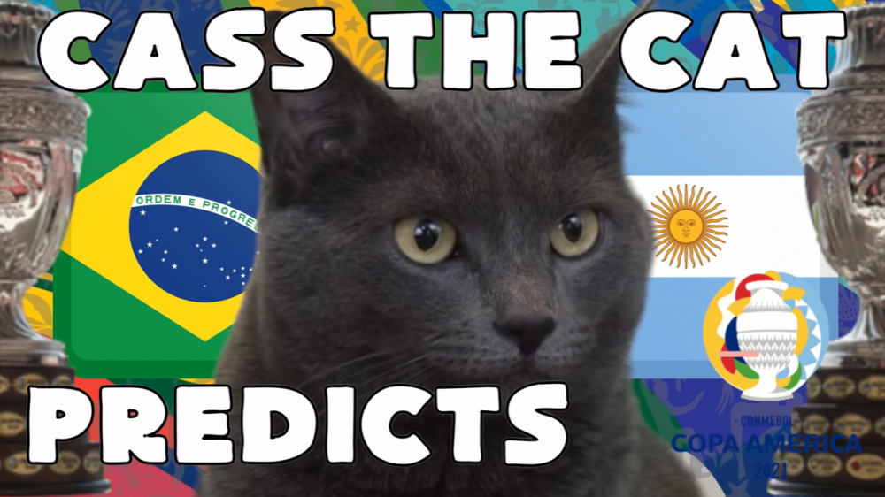 Mèo tiên tri dự đoán Brazil vs Argentina, 07h00 ngày 11/07 - Chung kết Copa America 2021