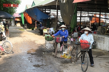 ha noi khan tim nguoi mua hang o cho vinh thinh thanh tri
