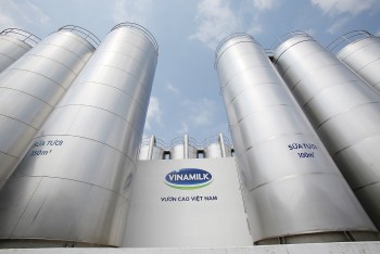 Vinamilk ghi tên “sữa Việt” trên các bảng xếp hạng toàn cầu về giá trị và sức mạnh thương hiệu