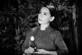 Nghệ sĩ Việt bàng hoàng nhận tin Phi Nhung qua đời