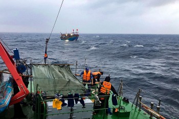 BTL Vùng Cảnh sát biển 1 cứu kéo thành công tàu cá Nghệ An gặp nạn trên biển