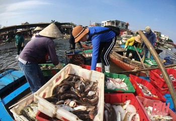 theo doi hoat dong cua tau ca tham hoi ngu dan san xuat tren bien dip tet nguyen dan