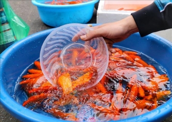 nguoi dan thu do chuan bi do cung ong cong ong tao