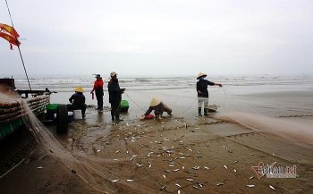 ngu dan tat bat hai loc troi kiem tien trieu moi ngay mua ca trich