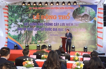 dong tho du an khu trong cay luu niem tai khu di tich quoc gia dac biet tan trao