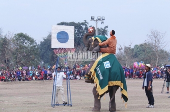 le hoi voi lao nam 2023 thu hut hang chuc nghin du khach