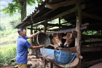 cuoc song hoi sinh noi tran dia soc ha cao bang