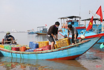 trung luong ca ghe ngu dan ha tinh thu hang chuc trieu dong moi ngay