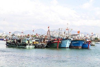 Kiên Giang xử phạt 13 trường hợp tàu cá vi phạm và tịch thu 1 bộ kích điện