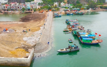 Quảng Ninh: Quan tâm, đầu tư các khu neo đậu, tránh trú bão cho tàu thuyền