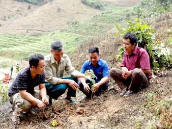 manh dat can coi vuon minh noi bien gioi