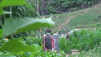 lao cai bat giu hai doi tuong nhap canh trai phep tu bien gioi trung quoc ve viet nam