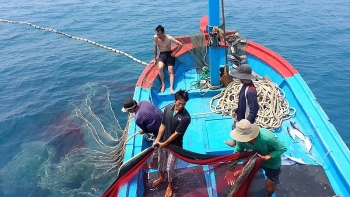 Hội nghề cá Việt Nam phản đối lệnh cấm đánh bắt cá của Trung Quốc trên Biển Đông