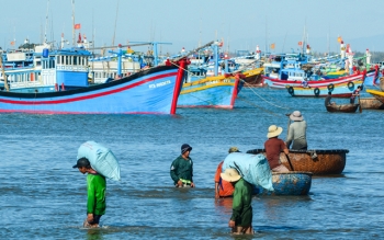 Môi trường Biển Đông đe dọa trực tiếp đến an ninh nghề cá