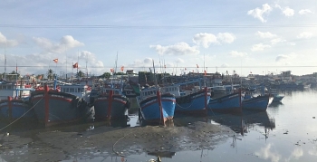 Ninh Thuận: Kiểm soát chặt hoạt động của tàu cá