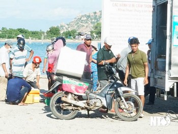 ngu dan ninh thuan thu nhap cao tu nguon ca giong