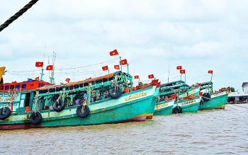 bo nong nghiep va phat trien nong thon phan doi viec trung quoc don phuong cam danh ca tren bien dong