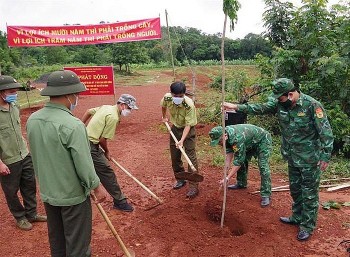 tet trong cay vi mot bien cuong xanh