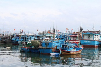 ngu dan khanh hoa tiep tuc bam bien lenh ngung danh ca cua trung quoc khong co gia tri