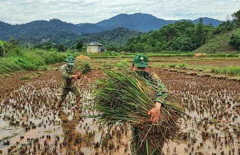 chien si bien phong doi nang loi bun giup nhan dan bien gioi thu hoach mua