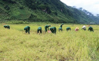 can bo chien si bien phong xuong ban giup nguoi dan vung bien cuu lua