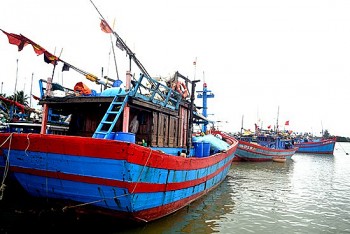 quang nam ben tre kiem soat iuu vi mot nghe ca ben vung