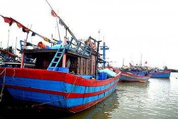 quang nam ben tre kiem soat iuu vi mot nghe ca ben vung