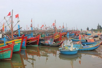 55 tau ca dung hoat dong de xuat chinh phu ho tro ngu dan