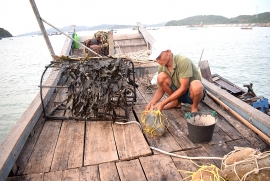 doc dao nghe bay muc thu cong thu nhap hang tram trieu moi thang