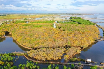 tru phu dam pha tam giang cau hai