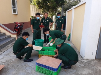 an giang thu giu 700 con ca sau giong nhap lau qua bien gioi campuchia vao viet nam