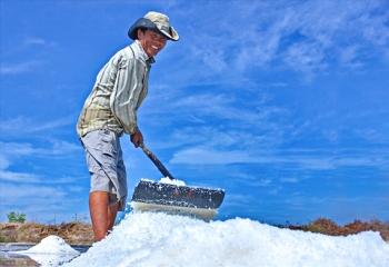 Mặn mòi vị biển trên cánh đồng muối trắng