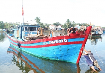 Quảng Nam: Nghề cá khó phát triển do tàu giã cào vẫn lén lút hoạt động