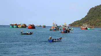 Xử lý nghiêm cá nhân, tổ chức đưa tàu cá Việt nam đi đánh bắt trái phép ở nước ngoài