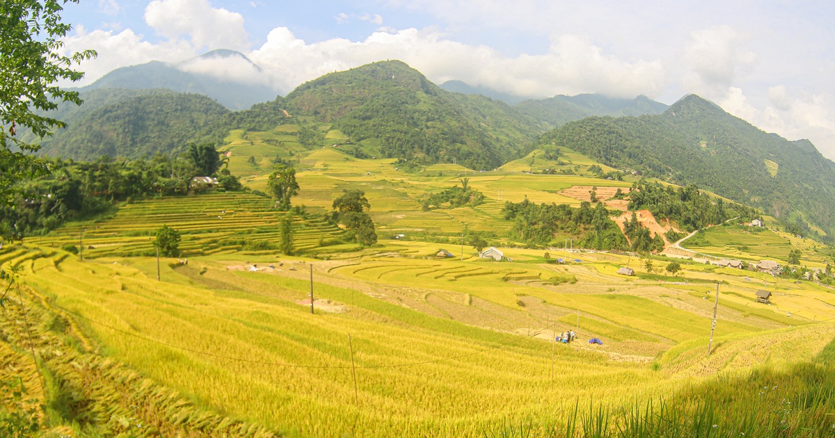 "Săn" trọn khoảnh khắc mùa vàng ở Sapa