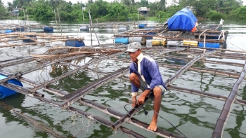 Quảng Nam: Ngư dân tất tả phòng, chống bão số 5