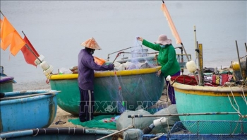 Triển khai cấp thẻ ngư dân "vùng xanh" đánh bắt hải sản gần bờ