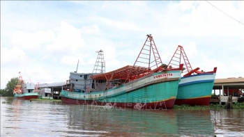 khac phuc the vang iuu no luc ngan chan tau ca vi pham tai vung bien nuoc ngoai