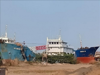 vung tau tau dich vu hau can dong theo nghi dinh 67 van keu cuu