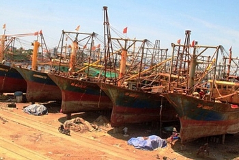 nhieu chu tau ca 67 qua han no hang tram ty dong