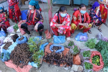 ruc ro sac mau cho phien thi tran tua chua