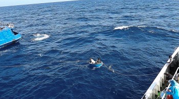 Va chạm với tàu nước ngoài, tàu cá Bình Định gặp nạn trên biển
